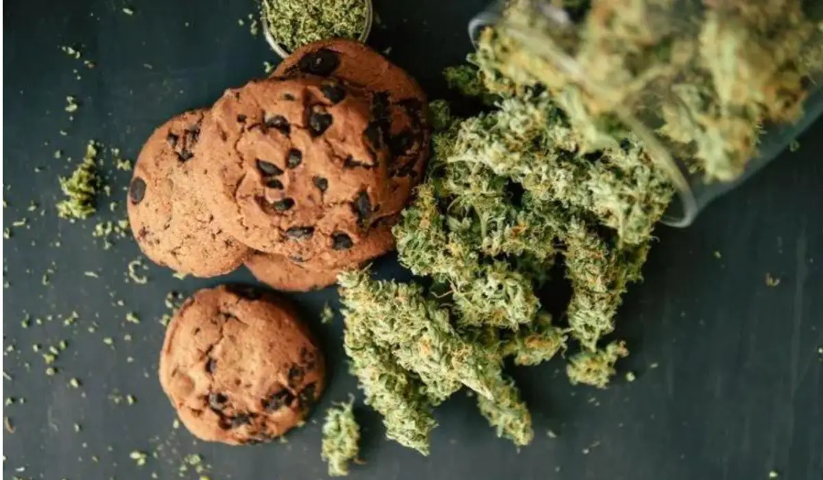 Students hospitalized after consuming space cookies