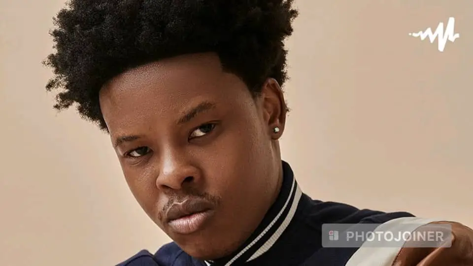 Nasty C Reason Punched