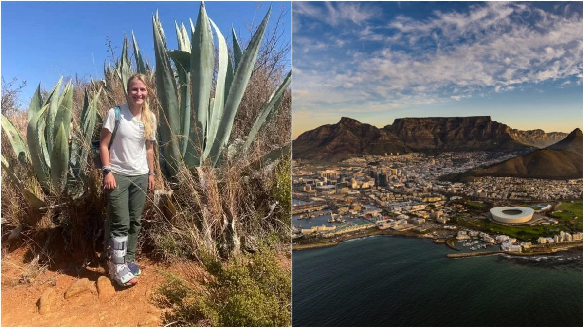 American Dead Table Mountain