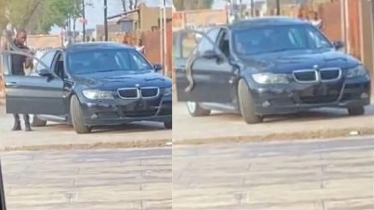 Soweto BMW Driver Snake