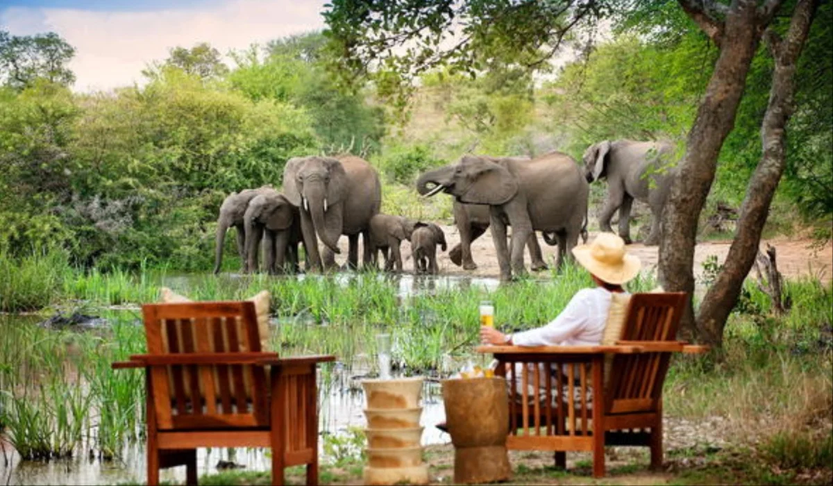 tourist killed elephant