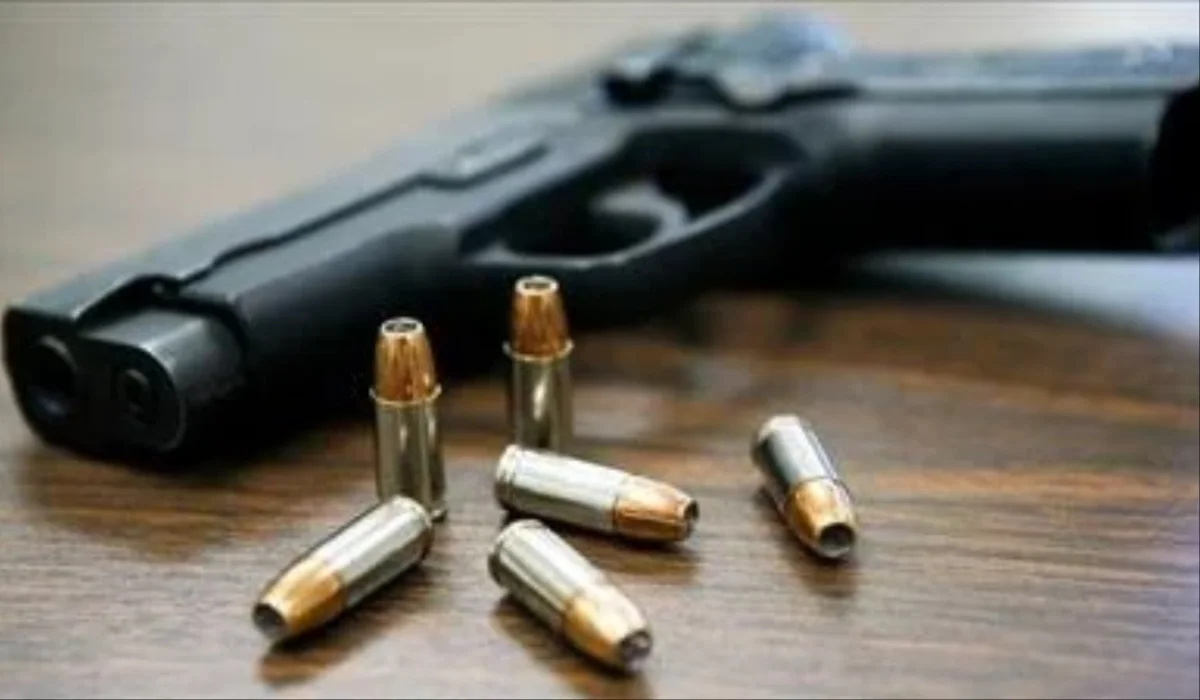 Stray bullet kills boy