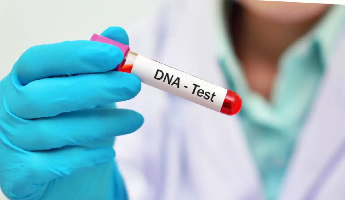 High Court Confirms Western Cape Man Is the Father After 20 Years of Denial