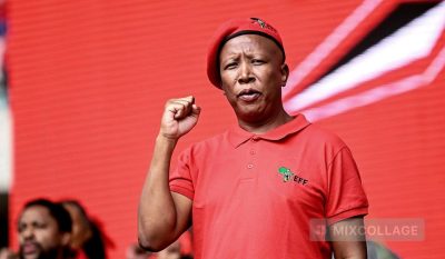Julius Malema, Wife Threaten R1 Million Lawsuit Against Blogger Musa Khawula